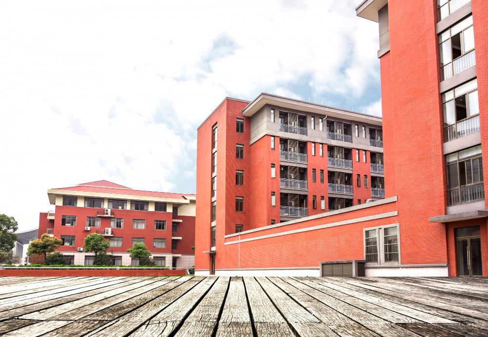 International Indian School in Abu Dhabi, school fees
