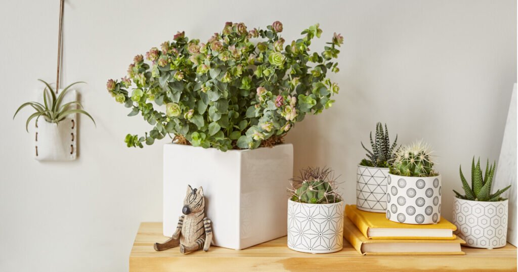 Air Purifier
